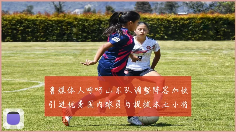 鲁媒体人呼吁山东队调整阵容加快引进优秀国内球员与提拔本土小将