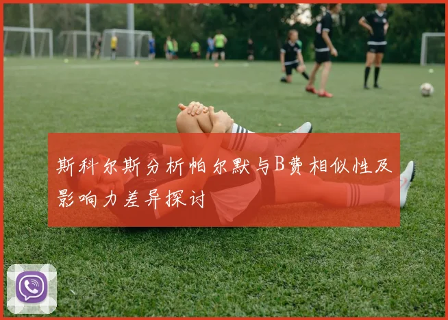 斯科尔斯分析帕尔默与B费相似性及影响力差异探讨